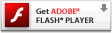 ذװ Adobe Flash 